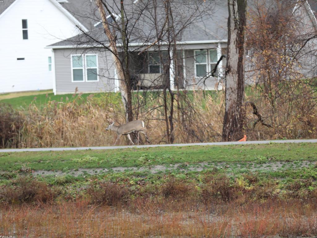 ហ្គេមជើងចប់៖ ការស្វែងយល់ពីពិភពនៃហ្គេមជើងចប់