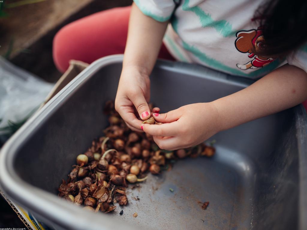 យុទ្ធសាស្ត្រលេងសំរាប់ការចូលរួមនិងការច្នៃប្រឌិត