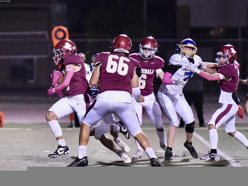 ការត្រួតពិនិត្យសកម្មភាពនៃហ្គេមជើងចប់