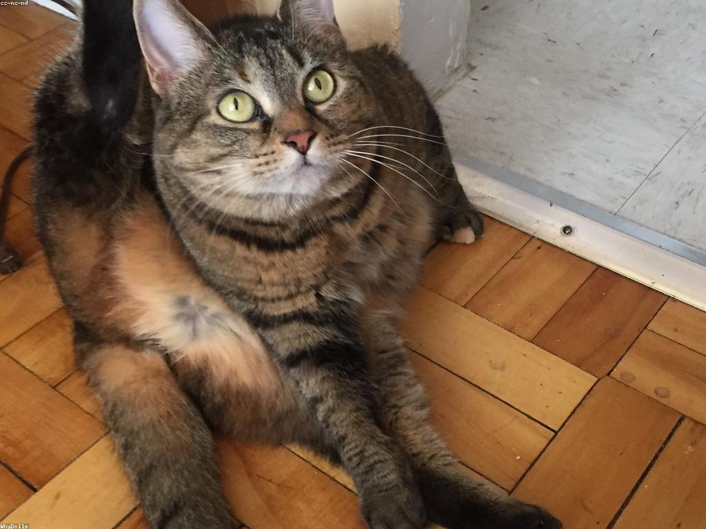 អInsights ថ្មីៗសម្រាប់ព័ត៌មាន